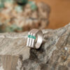 Anillo Horizonte
